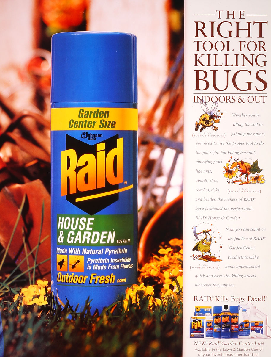 Raid-Bugs-1